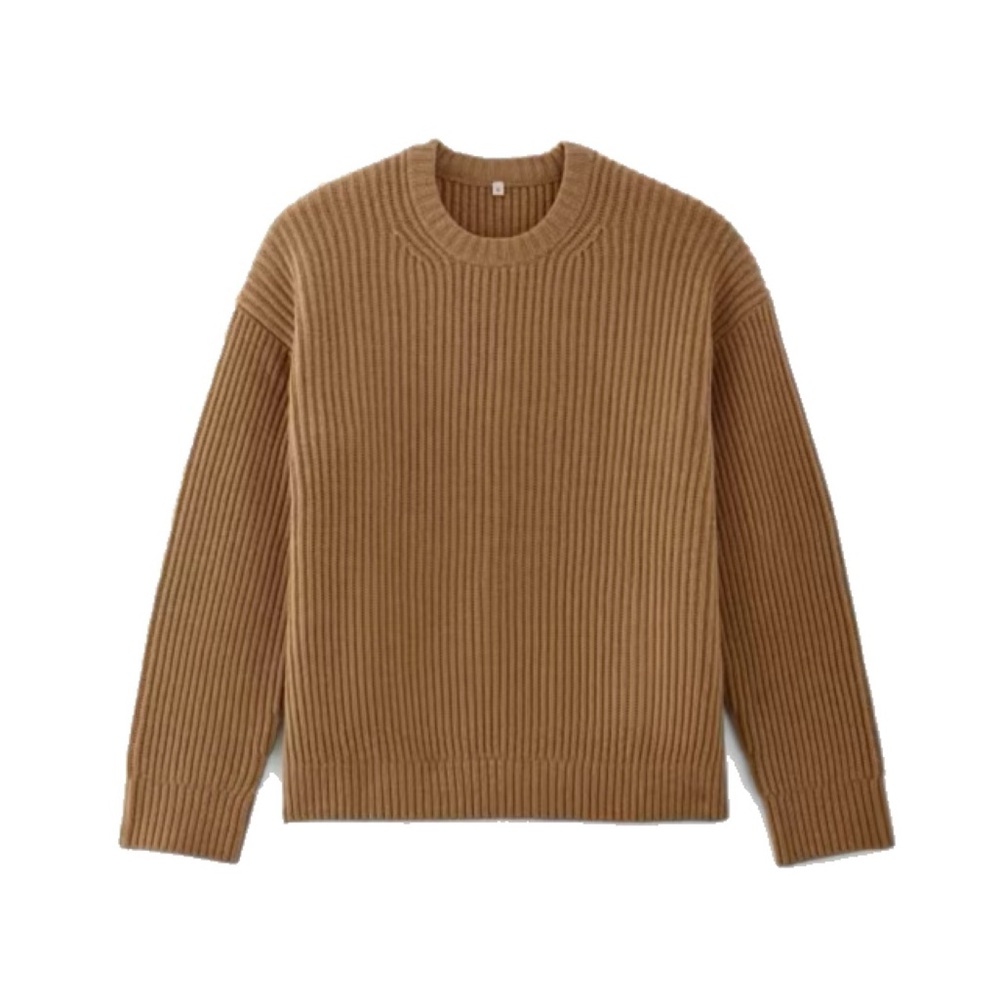 Everlane The Oversized Crew in Luxe Merino